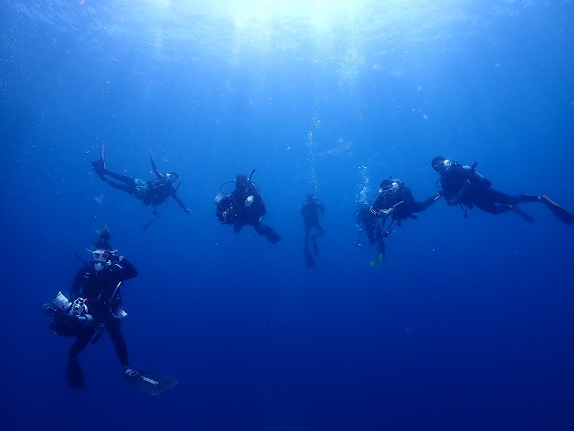 沖縄　ダイビング　慶良間　自社船