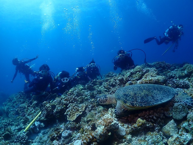 沖縄　ダイビング　慶良間　自社船