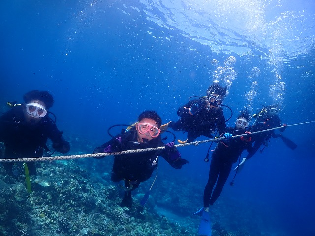 沖縄　ダイビング　慶良間　ウミガメ