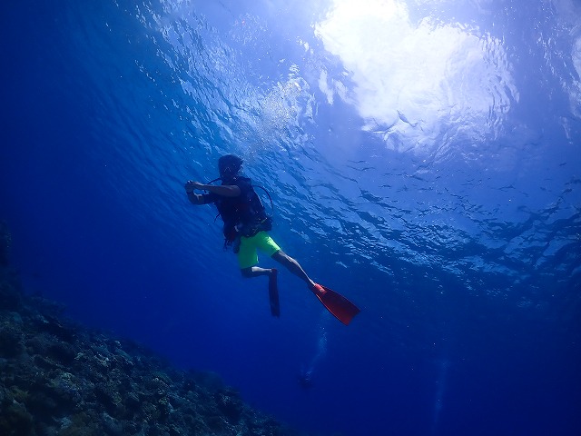沖縄　ダイビング　慶良間　自社船