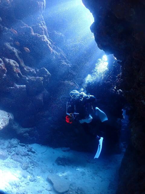 沖縄 ダイビング 慶良間 ウミガメ