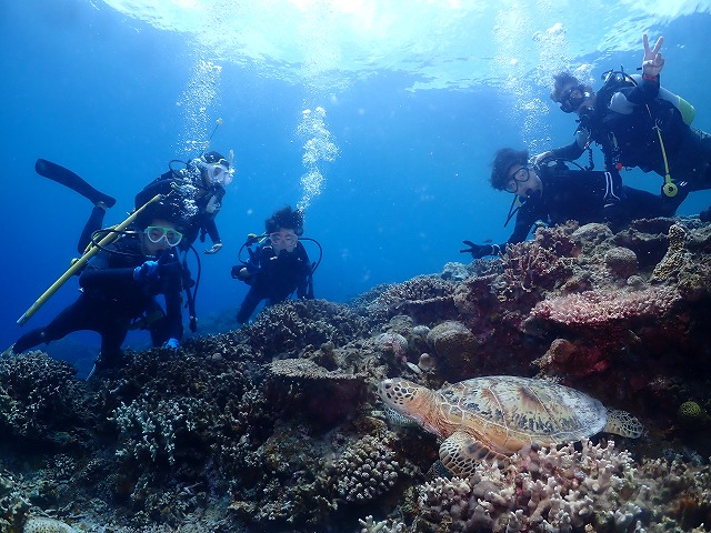 沖縄 ダイビング 慶良間 自社船