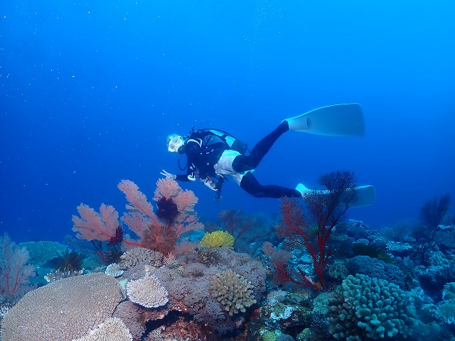 沖縄　ダイビング　慶良間　自社船