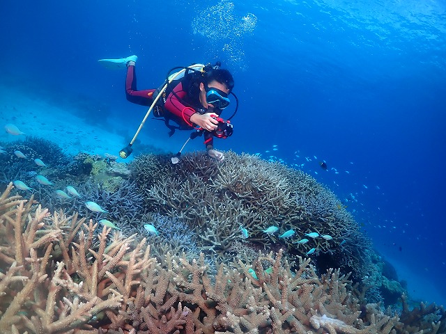 沖縄　ダイビング　慶良間　自社船