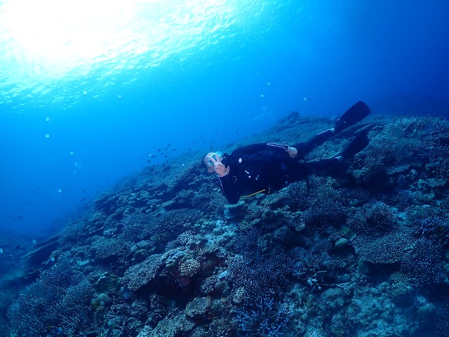 沖縄　ダイビング　慶良間　自社船