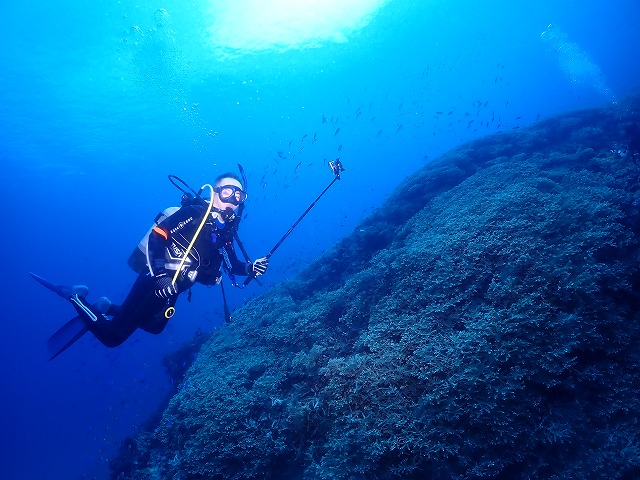 沖縄　ダイビング　慶良間　ウミガメ