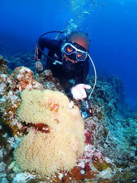 沖縄　ダイビング　慶良間　ウミガメ