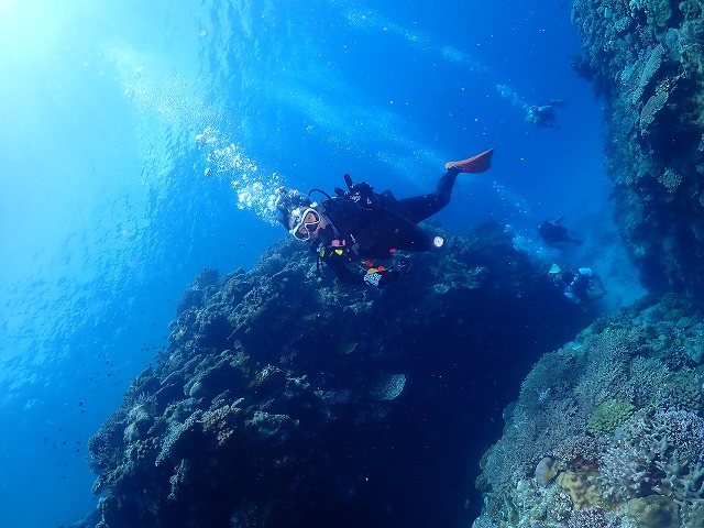 沖縄 ダイビング 慶良間 自社船