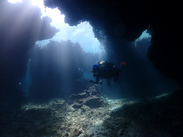 沖縄 ダイビング 慶良間 自社船