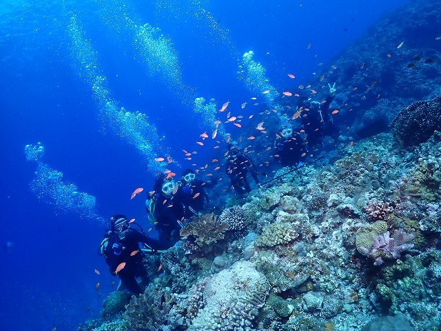 沖縄　ダイビング　慶良間　自社船