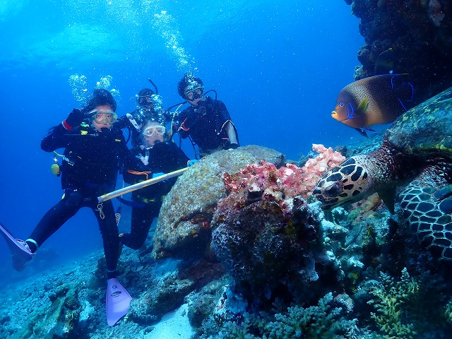 沖縄 ダイビング 慶良間 ウミガメ