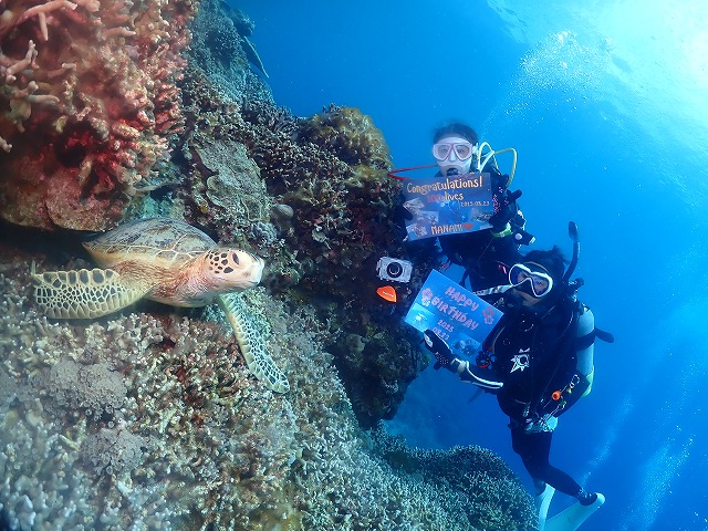 沖縄 ダイビング 慶良間 自社船