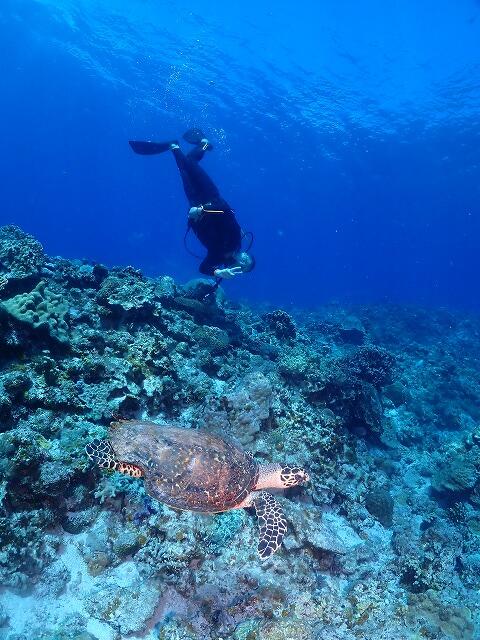 沖縄　ダイビング　慶良間　自社船