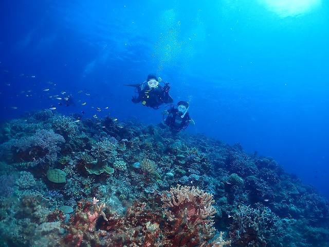 沖縄　ダイビング　慶良間　自社船