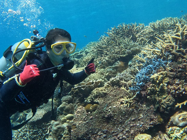 沖縄　ダイビング　慶良間　ウミガメ