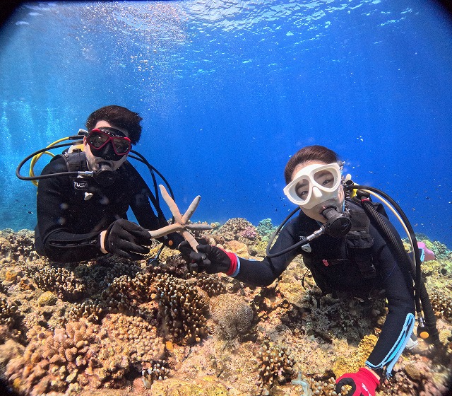 沖縄　ダイビング　慶良間　自社船