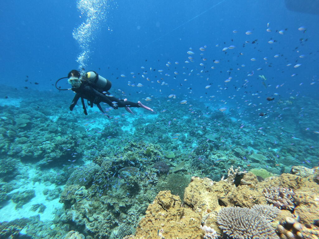 沖縄　ダイビング　慶良間　自社船