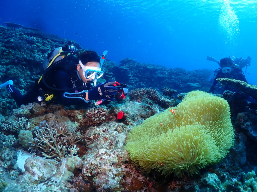 沖縄　ダイビング　慶良間　自社船