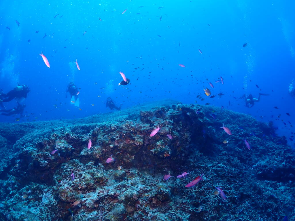 沖縄　ダイビング　慶良間　自社船