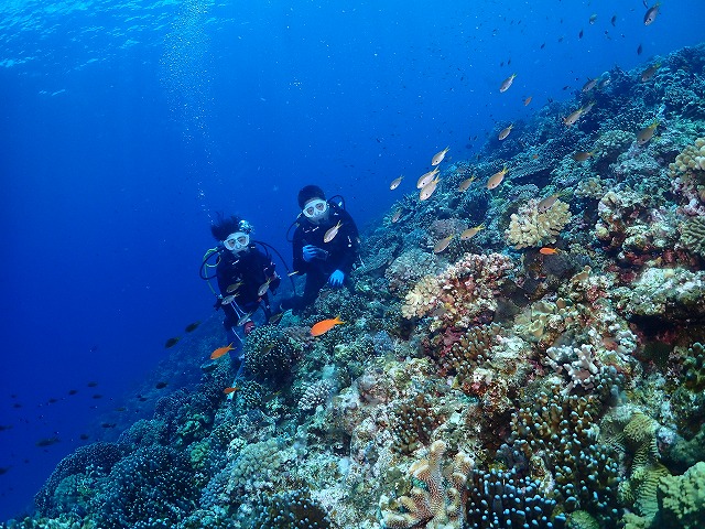 沖縄　ダイビング　慶良間　自社船