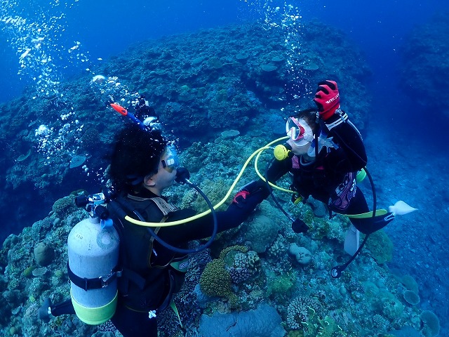 沖縄　ダイビング　慶良間　自社船