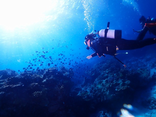 沖縄　ダイビング　慶良間　ウミガメ