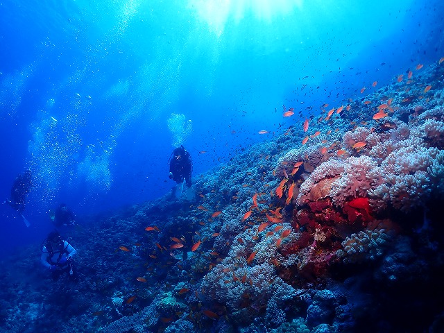 沖縄　ダイビング　慶良間　自社船