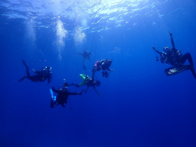 沖縄 ダイビング 慶良間 自社船