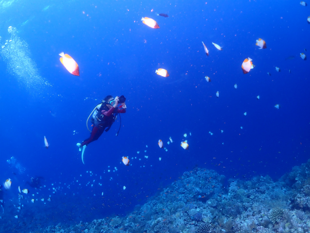 渡名喜・ダイビング