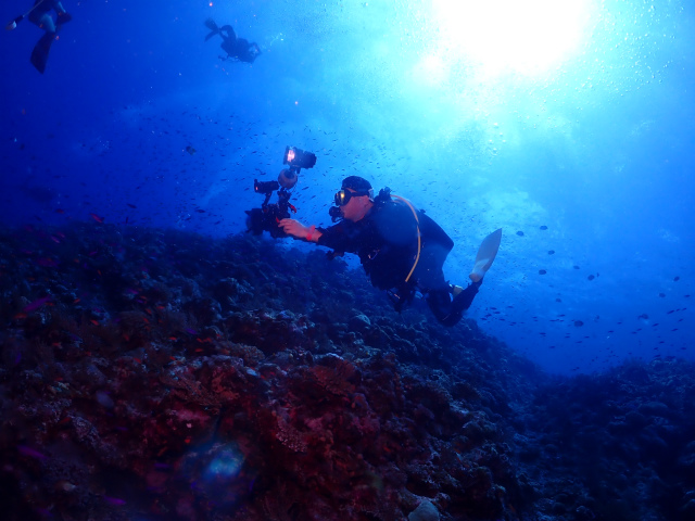 渡名喜・ダイビング