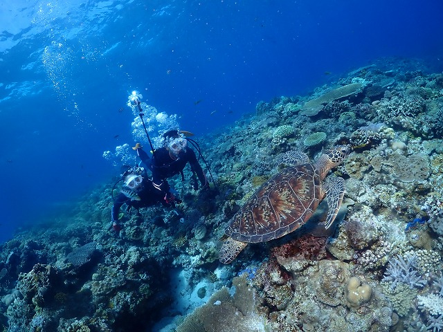 沖縄　ダイビング　慶良間　自社船