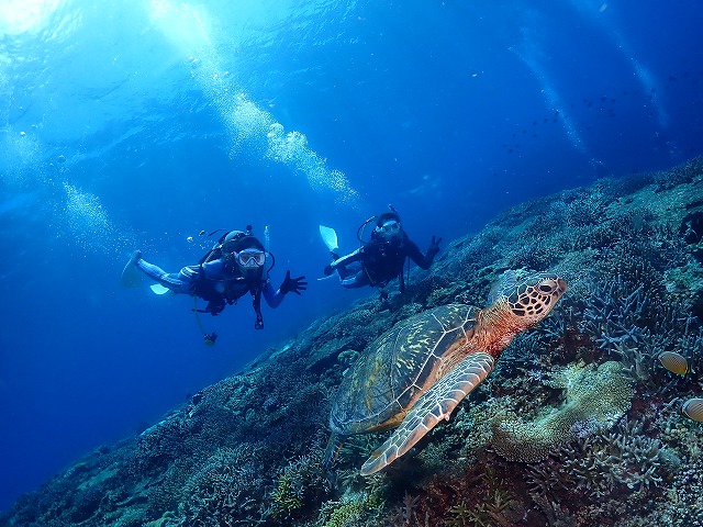 沖縄　ダイビング　慶良間　自社船