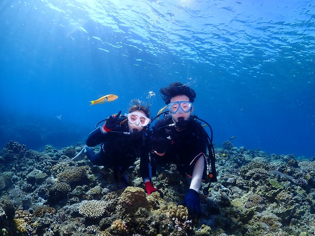 沖縄　ダイビング　慶良間　ウミガメ