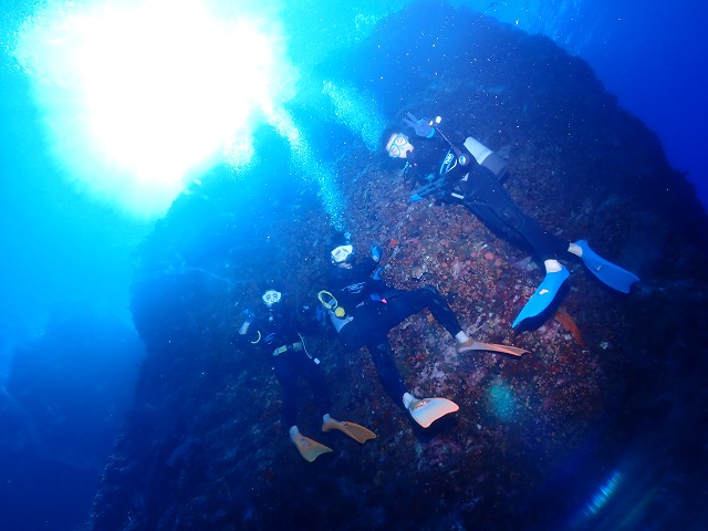 沖縄　ダイビング　慶良間　ウミガメ