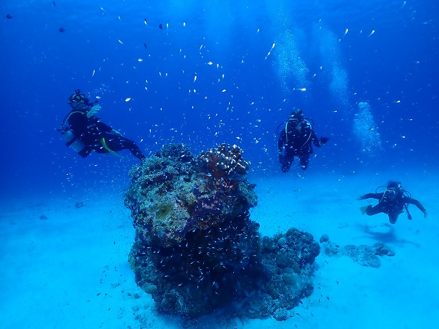 沖縄 ダイビング 慶良間 自社船