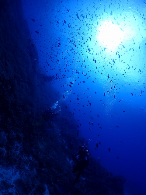 沖縄 ダイビング 慶良間 自社船