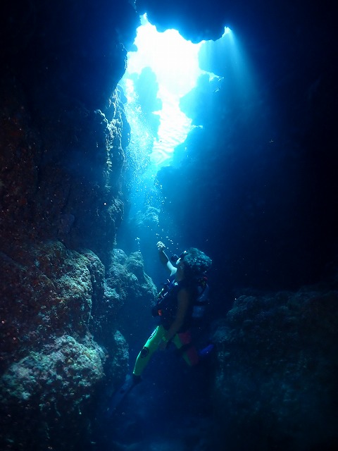 沖縄 ダイビング 慶良間 自社船