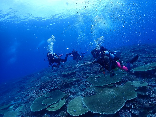 沖縄 ダイビング 慶良間 自社船
