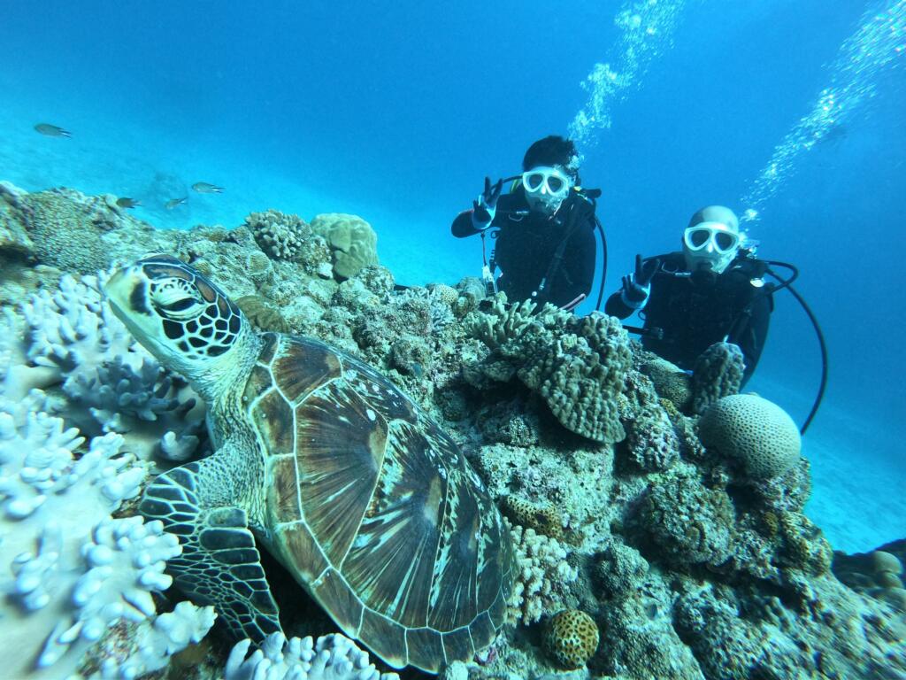 沖縄　ダイビング　慶良間　自社船