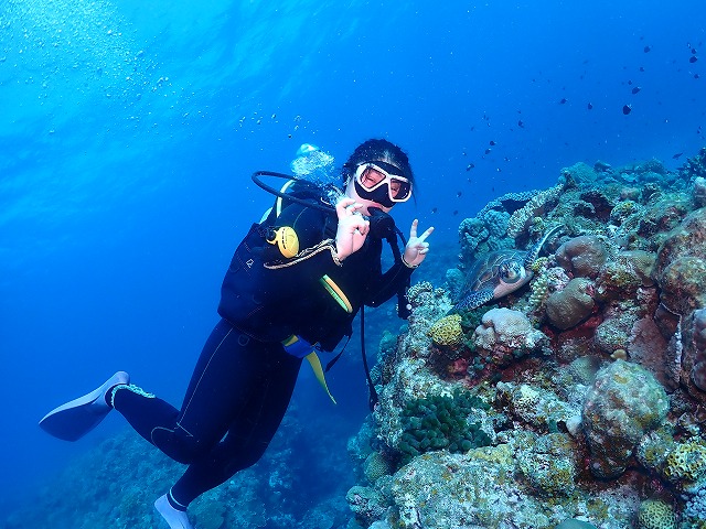 沖縄　ダイビング　慶良間　ウミガメ