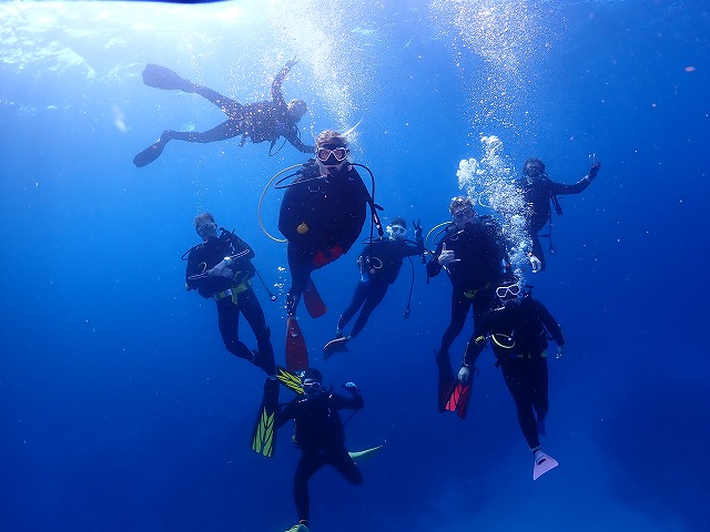 沖縄　ダイビング　慶良間　ウミガメ