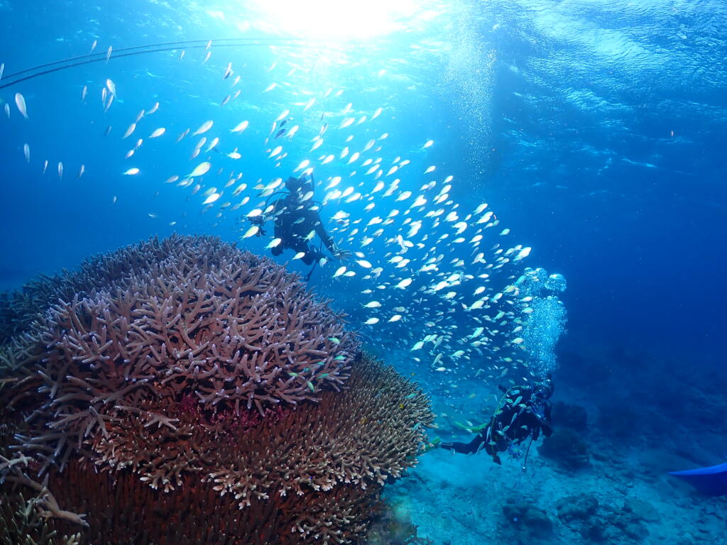 沖縄　ダイビング　慶良間　自社船