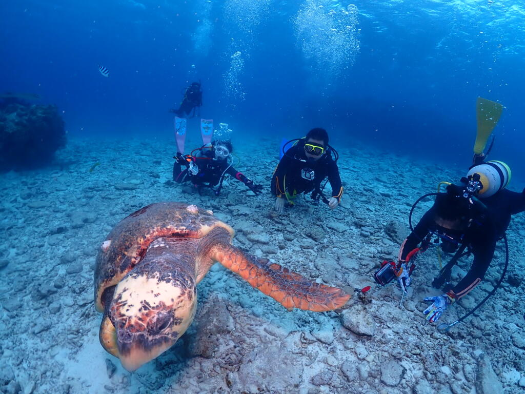 沖縄　ダイビング　慶良間　自社船