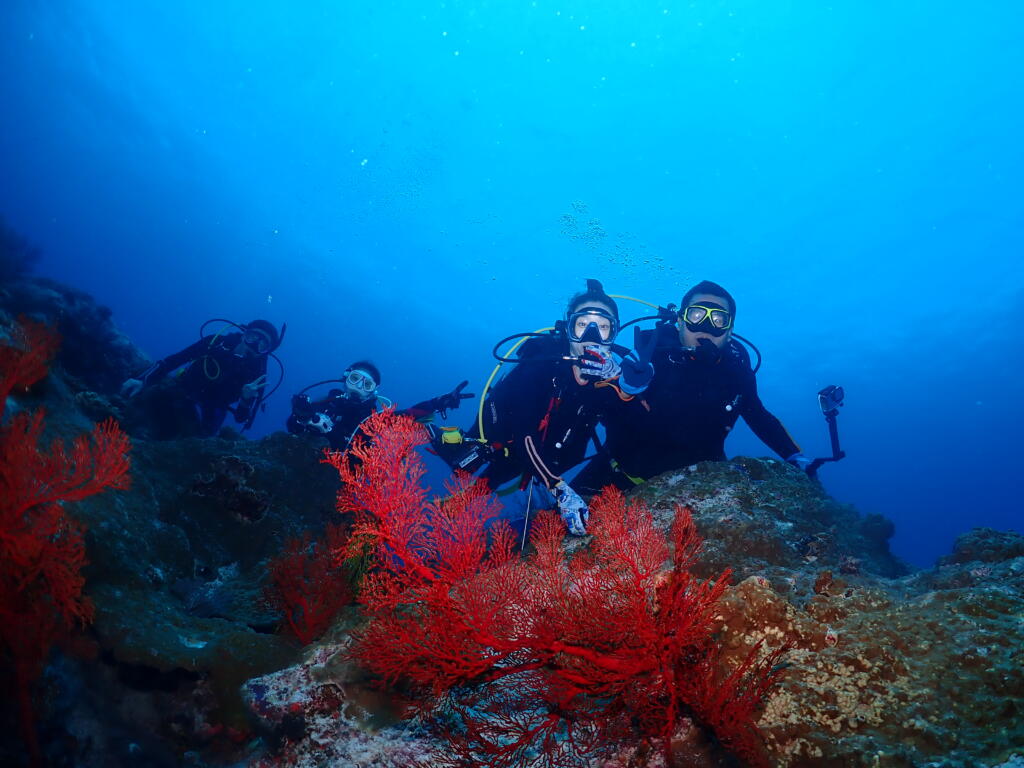 沖縄　ダイビング　慶良間　自社船