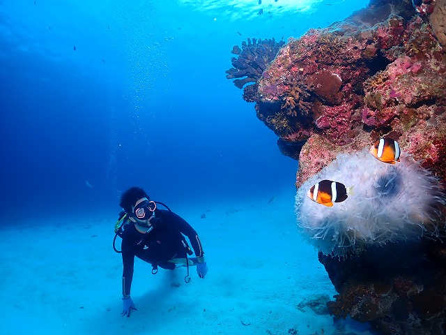 沖縄　ダイビング　慶良間　自社船
