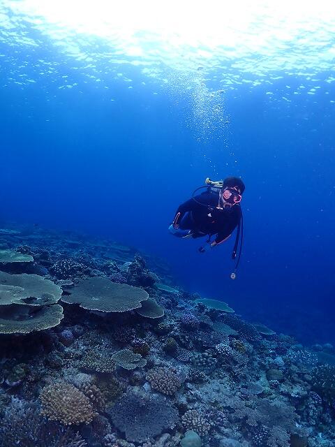 沖縄　ダイビング　慶良間　自社船