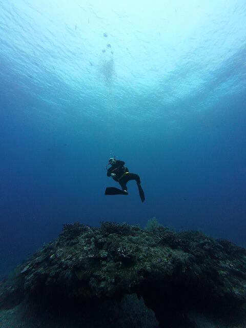 沖縄　ダイビング　慶良間　自社船