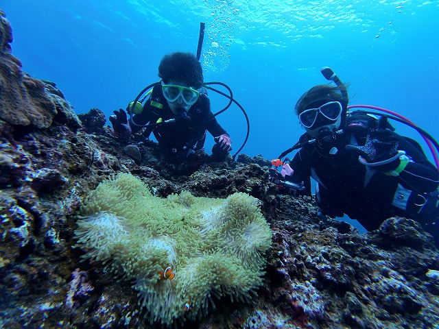 沖縄　ダイビング　慶良間　自社船