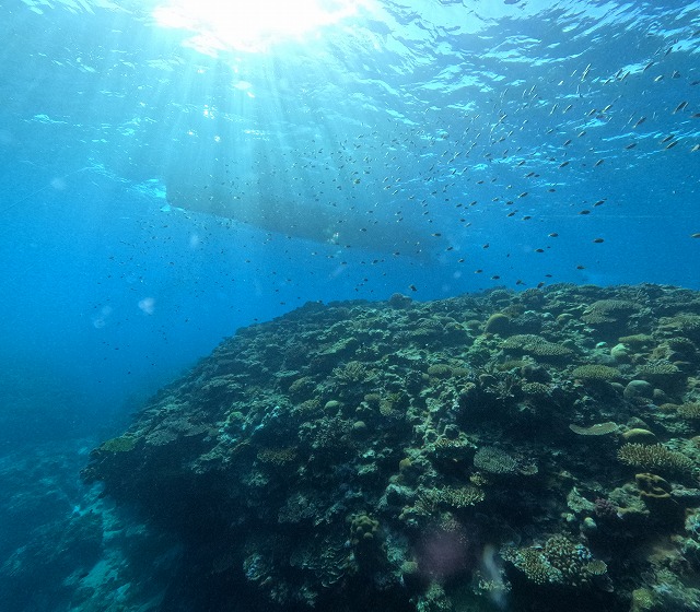 沖縄　ダイビング　慶良間　自社船