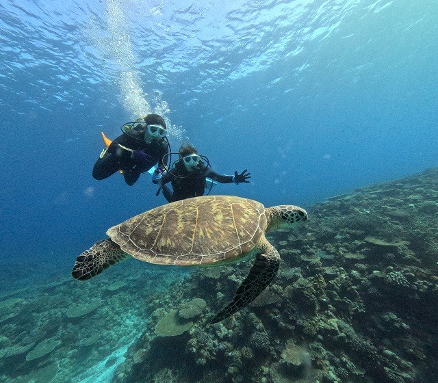 沖縄　ダイビング　慶良間　自社船